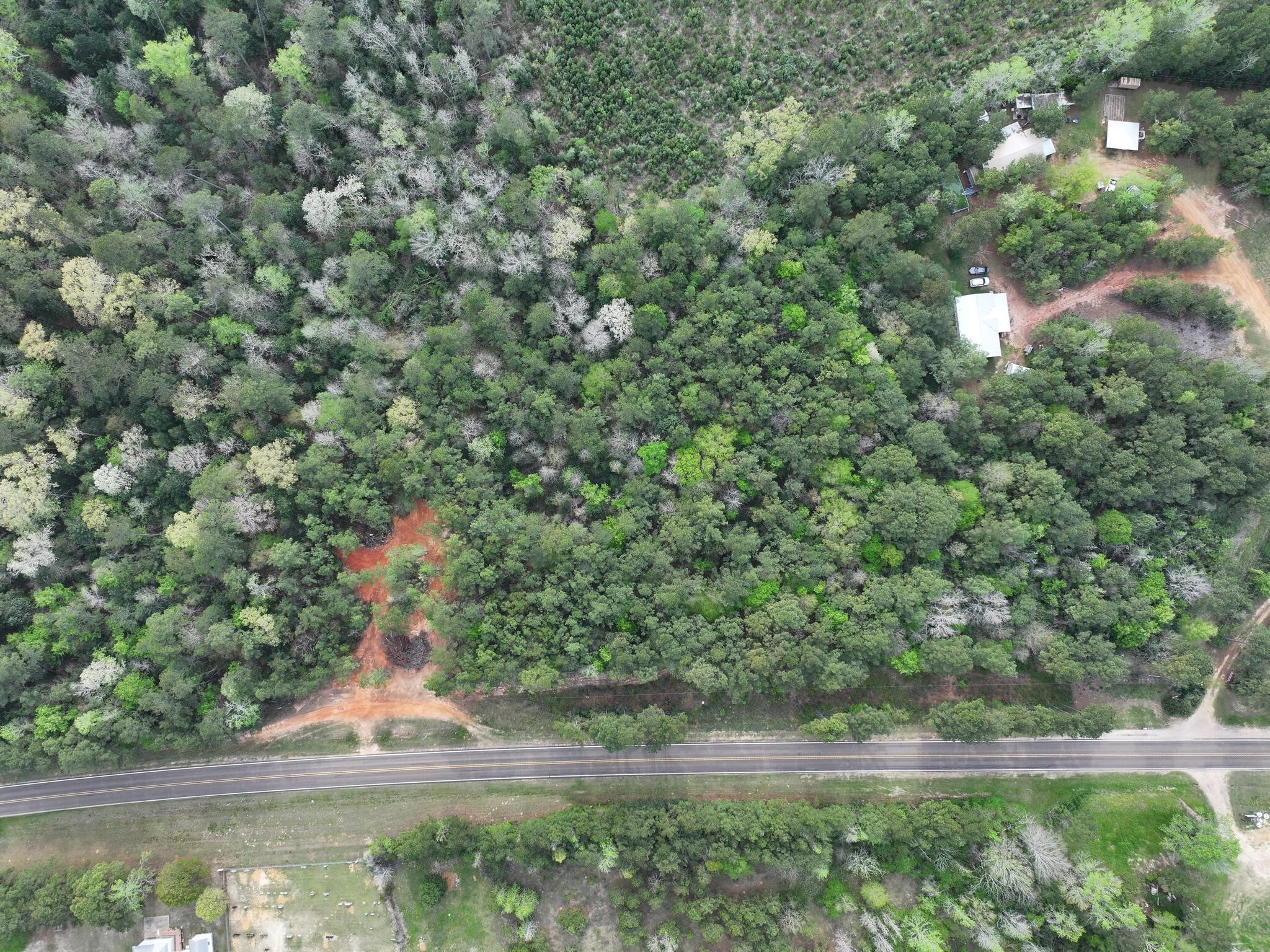 0 Fm-252 Jasper, TX 75951 - Photo 12 of 22