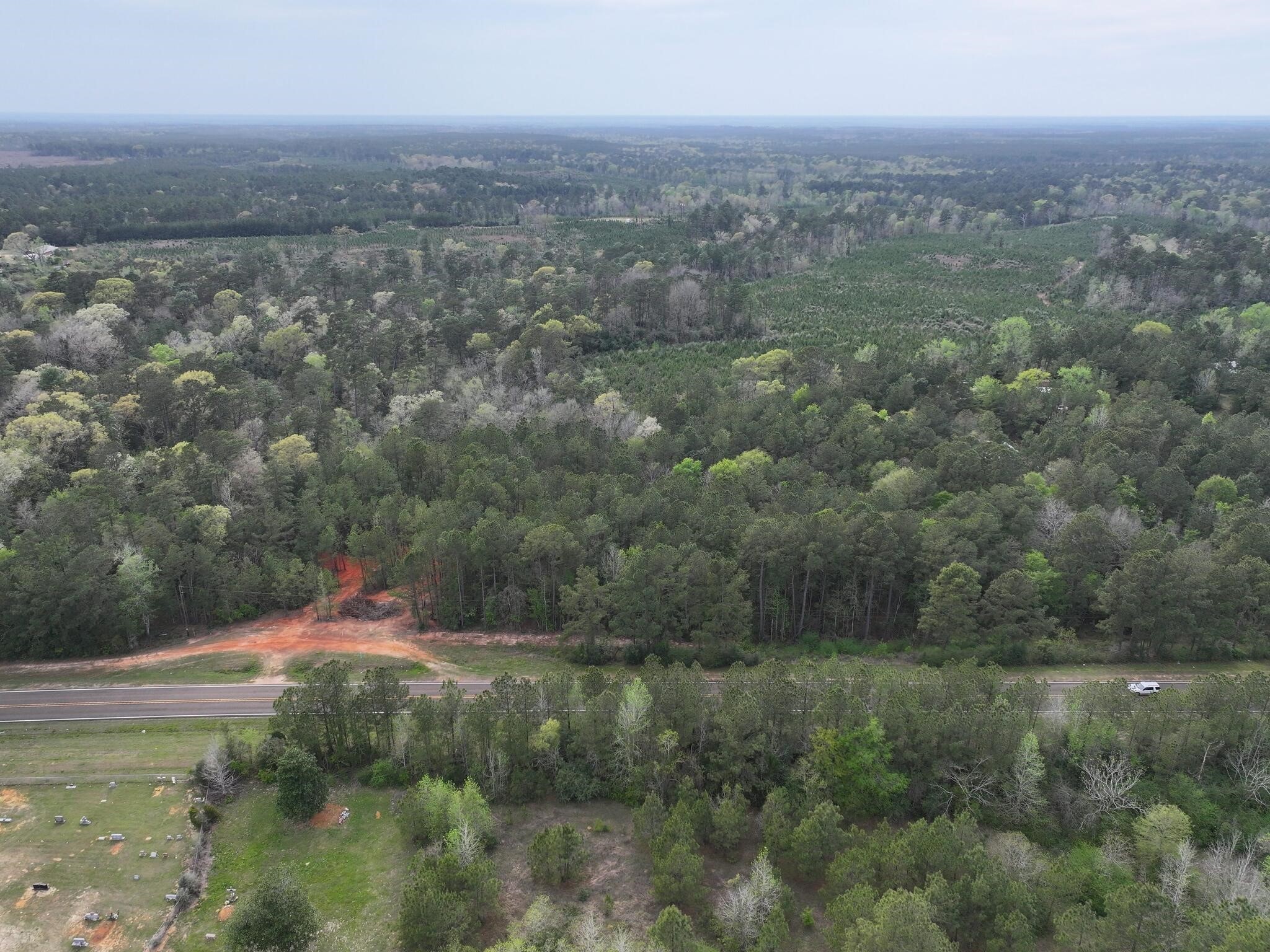 0 Fm-252 Jasper, TX 75951 - Photo 13 of 22 a view of a city with lush green forest