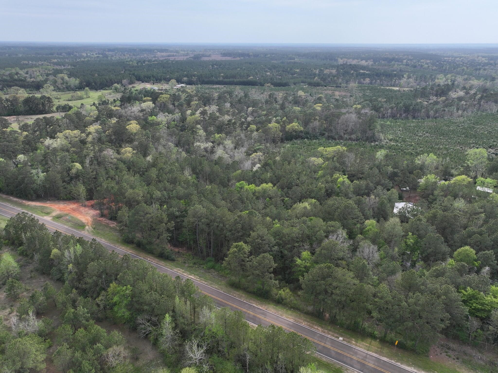 0 Fm-252 Jasper, TX 75951 - Photo 14 of 22 a view of city and mountain