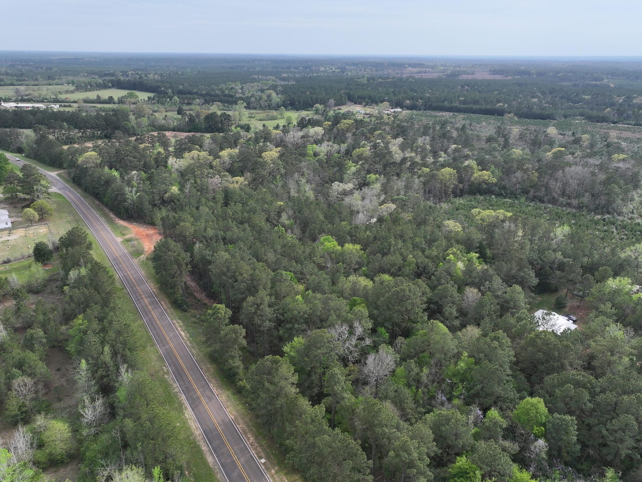 0 Fm-252 Jasper, TX 75951 - Photo 15 of 22 an aerial view of forest