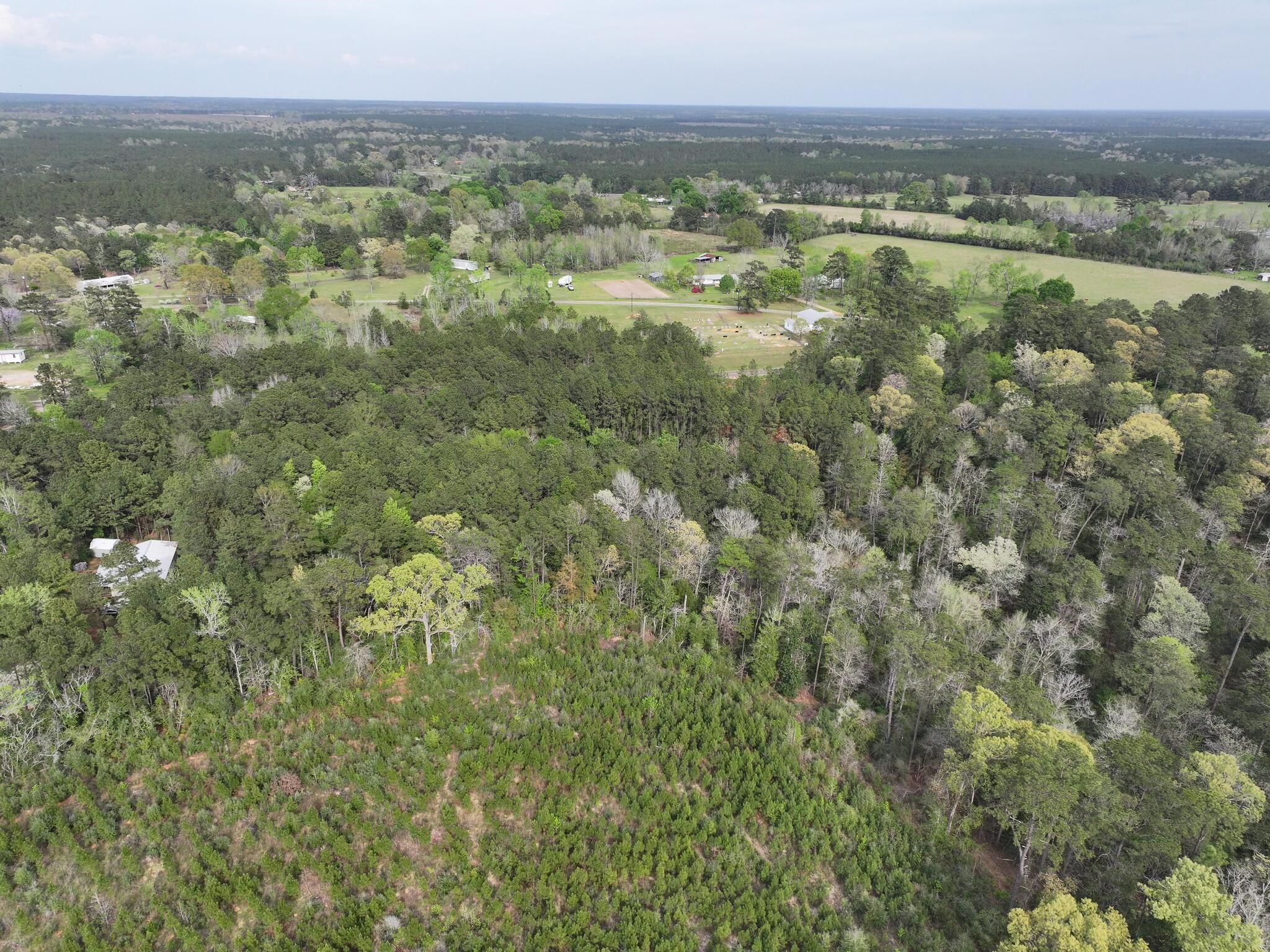 0 Fm-252 Jasper, TX 75951 - Photo 18 of 22 a view of a city with an outdoor space