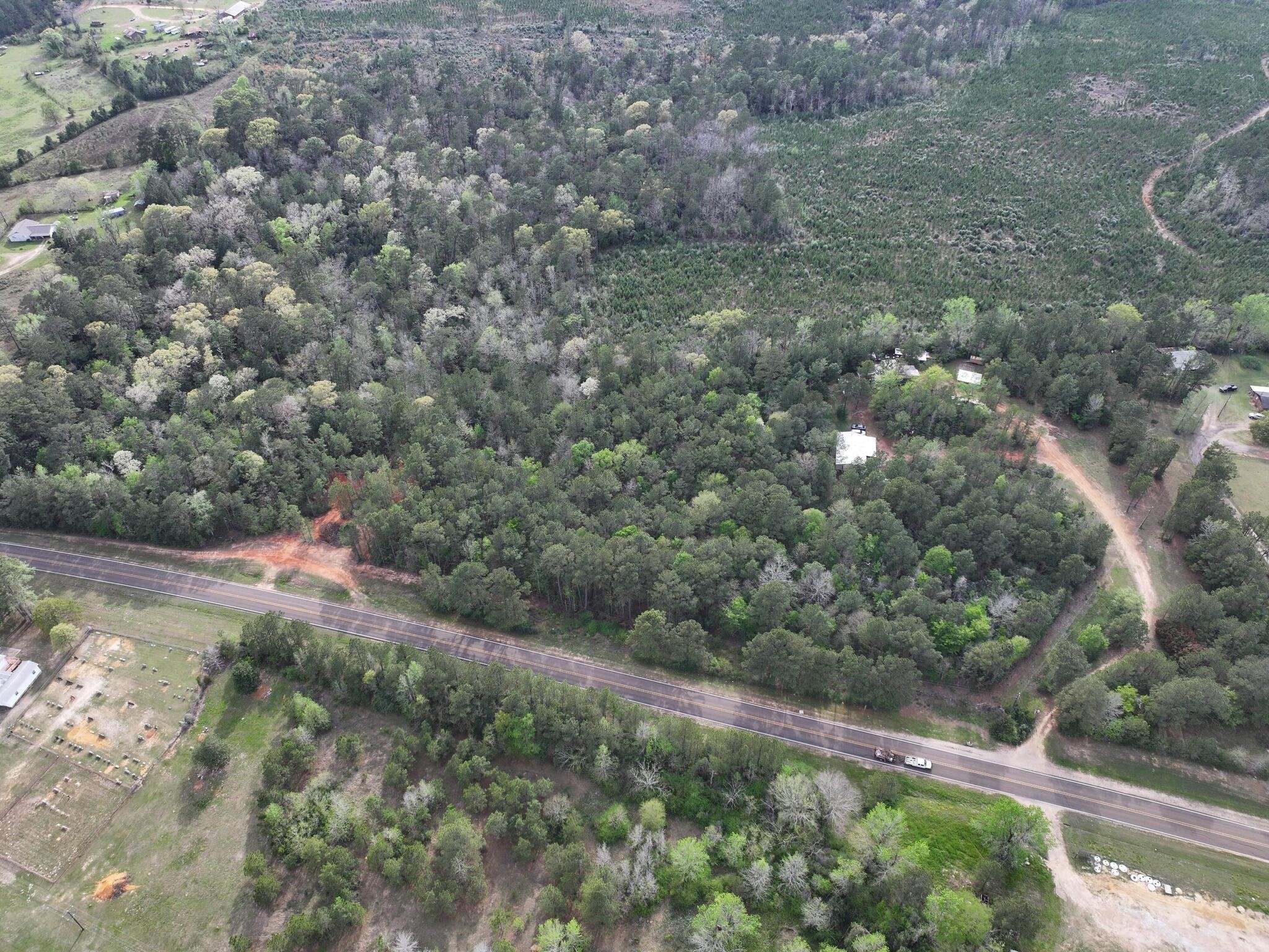 0 Fm-252 Jasper, TX 75951 - Photo 2 of 22 a view of a yard with a tree