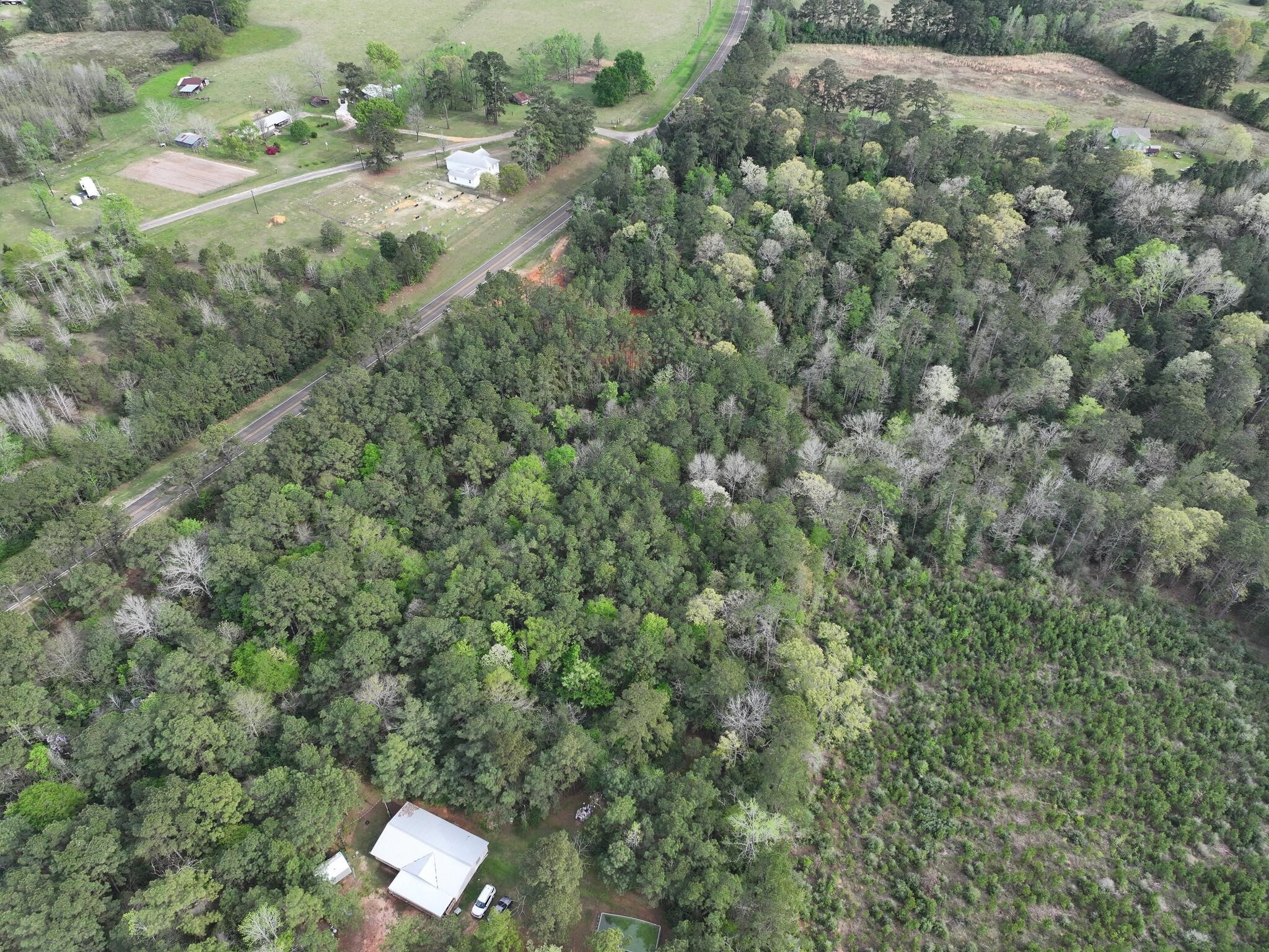 0 Fm-252 Jasper, TX 75951 - Photo 5 of 22 a view of a forest with a street
