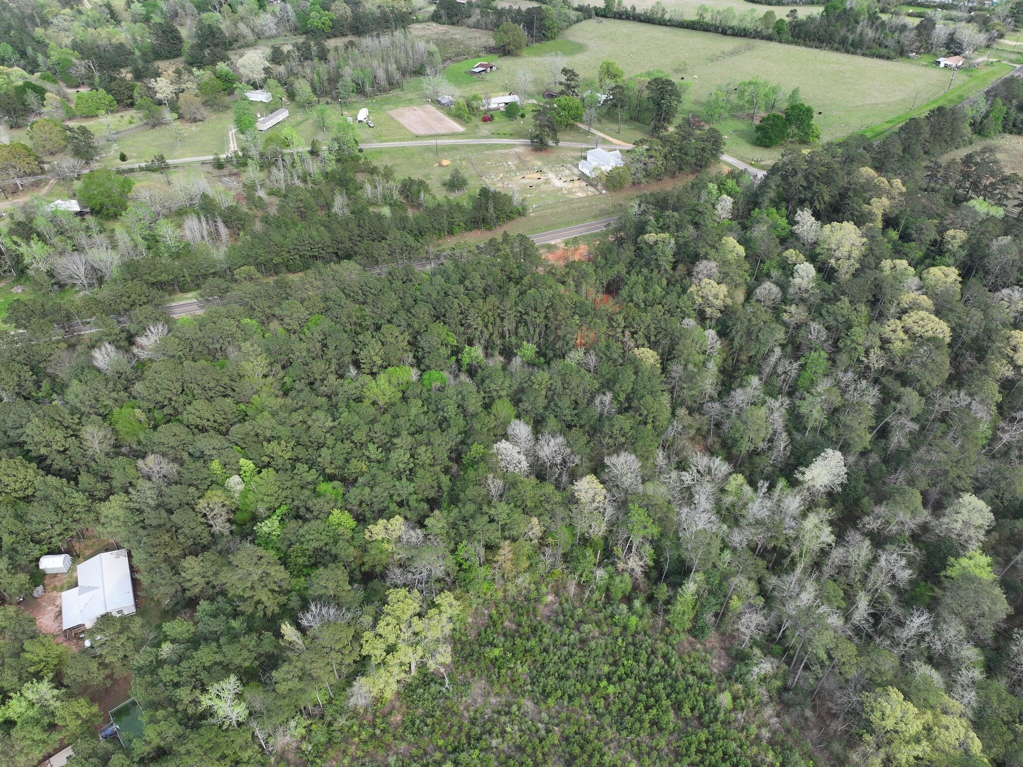 0 Fm-252 Jasper, TX 75951 - Photo 6 of 22 view of a forest with a houses