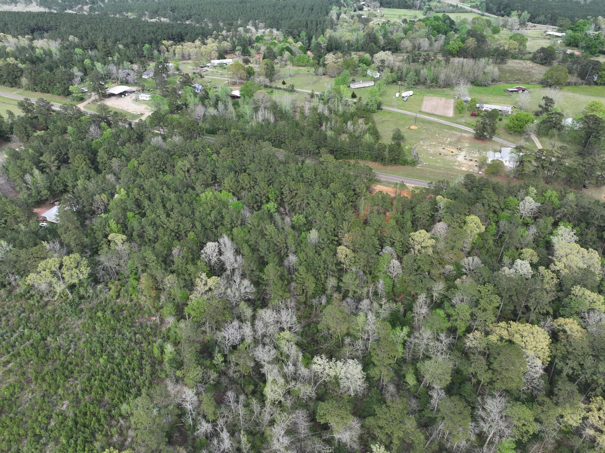 0 Fm-252 Jasper, TX 75951 - Photo 7 of 22 a view of a forest