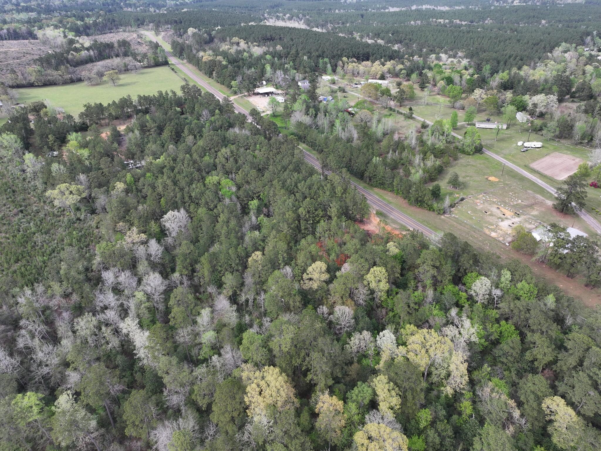 0 Fm-252 Jasper, TX 75951 - Photo 8 of 22 an aerial view of forest