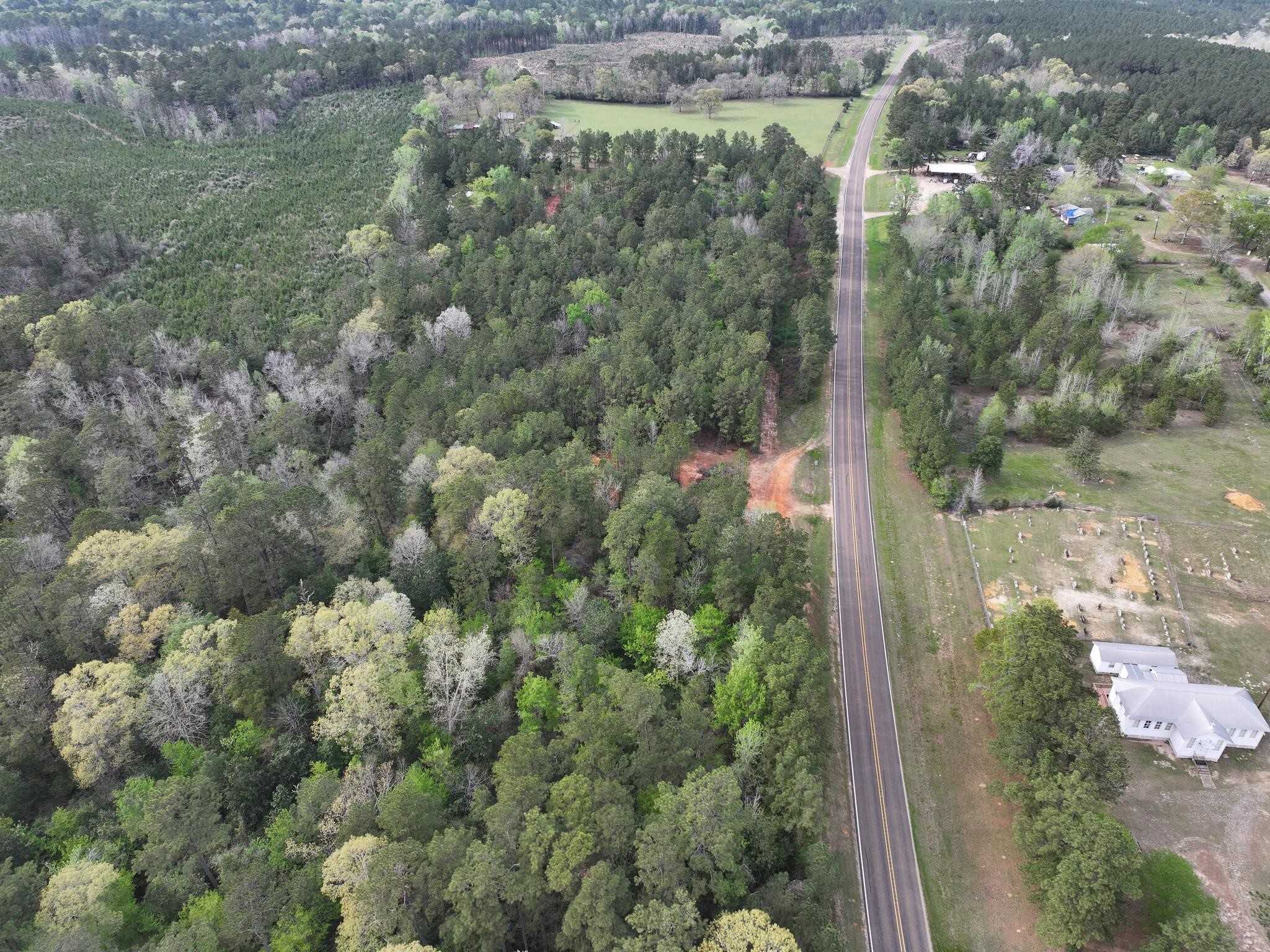 0 Fm-252 Jasper, TX 75951 - Photo 9 of 22 a view of a forest with a street