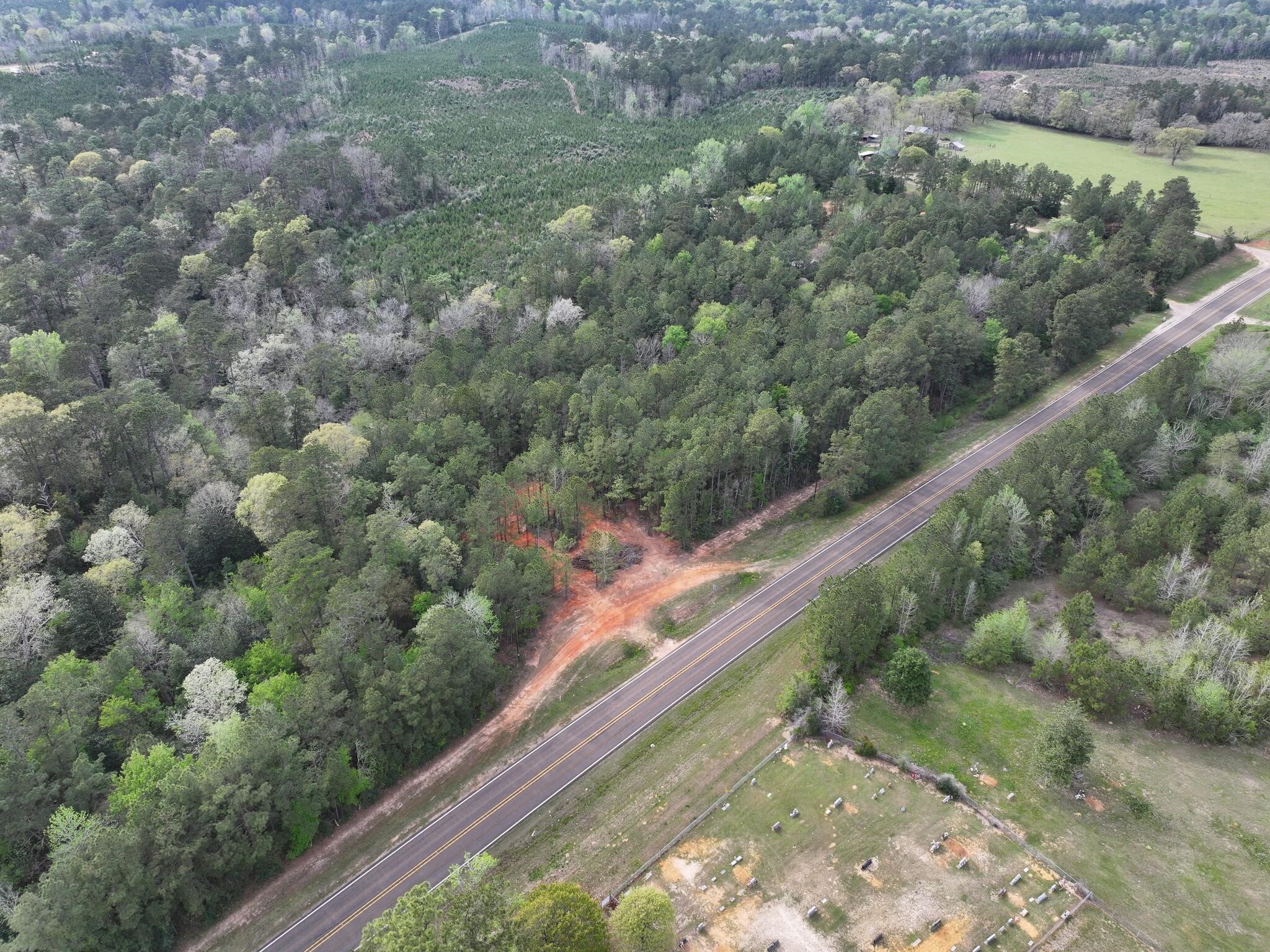 0 Fm-252 Jasper, TX 75951 - Photo 10 of 22 a view of a forest from a balcony