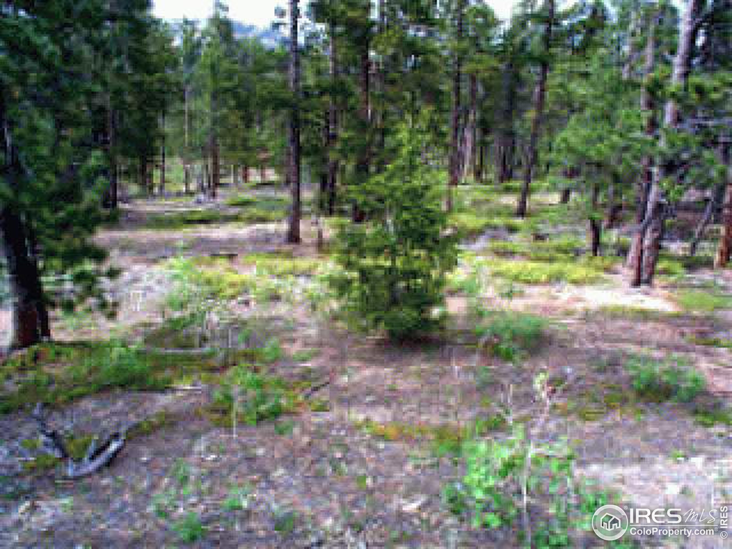 2000 Bunce School Road Lyons, CO 80540 - Photo 3 of 6 Gallery Image 3