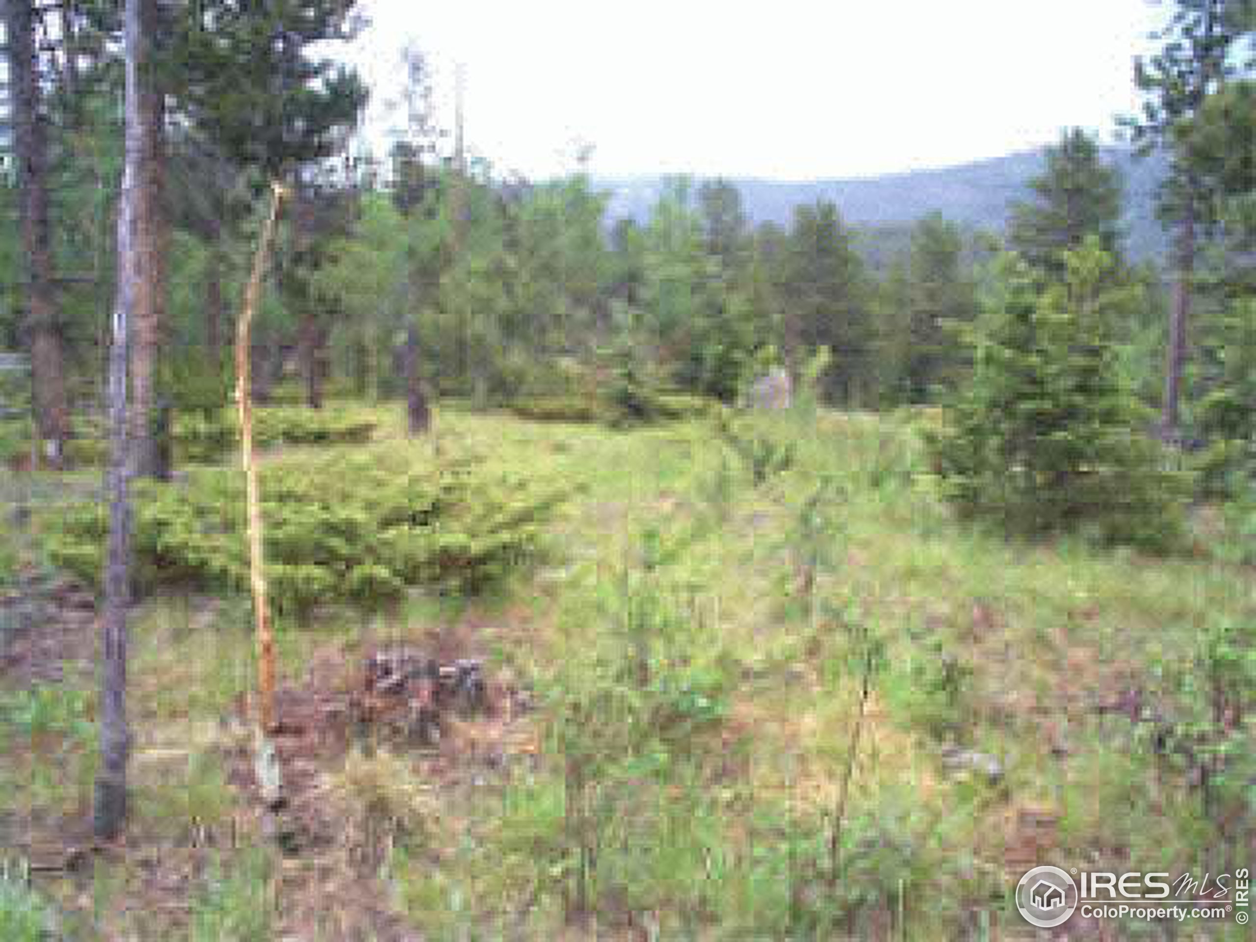 2000 Bunce School Road Lyons, CO 80540 - Photo 4 of 6 Gallery Image 4