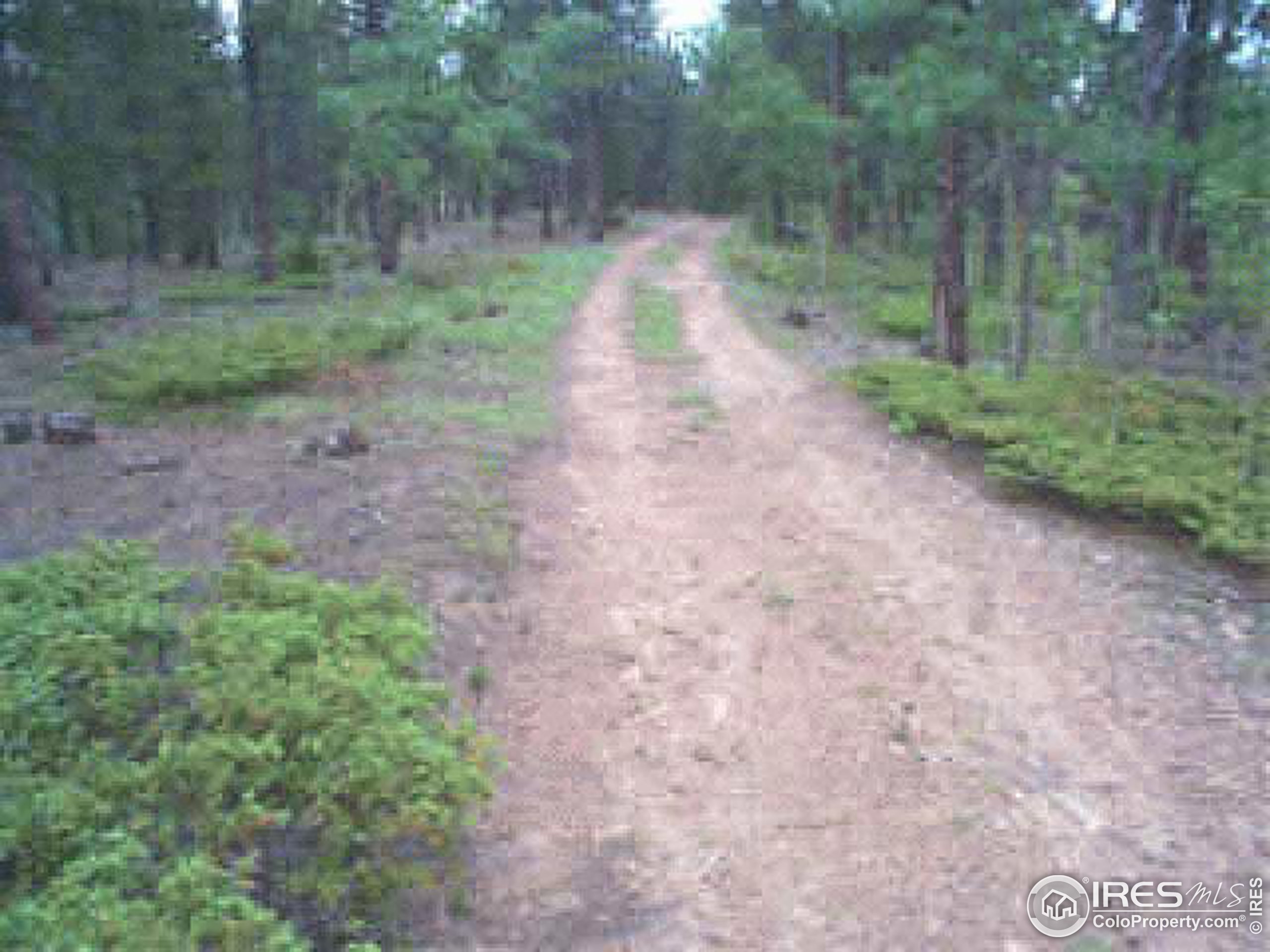 2000 Bunce School Road Lyons, CO 80540 - Photo 6 of 6 Gallery Image 6