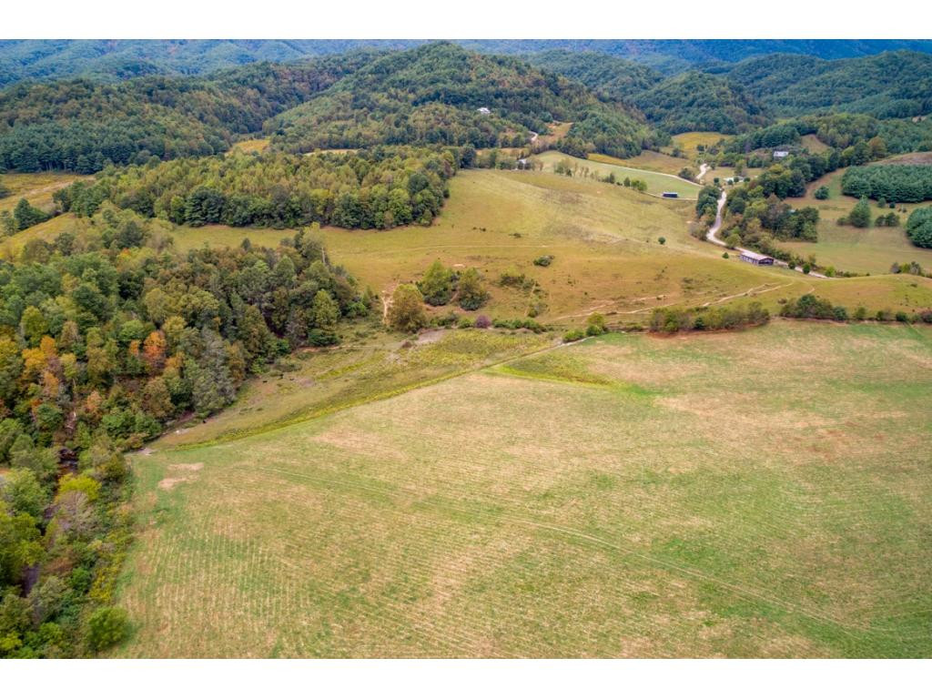 163 Henry Stout Branch Road Butler, TN 37640 - Photo 5 of 23 Photo 5