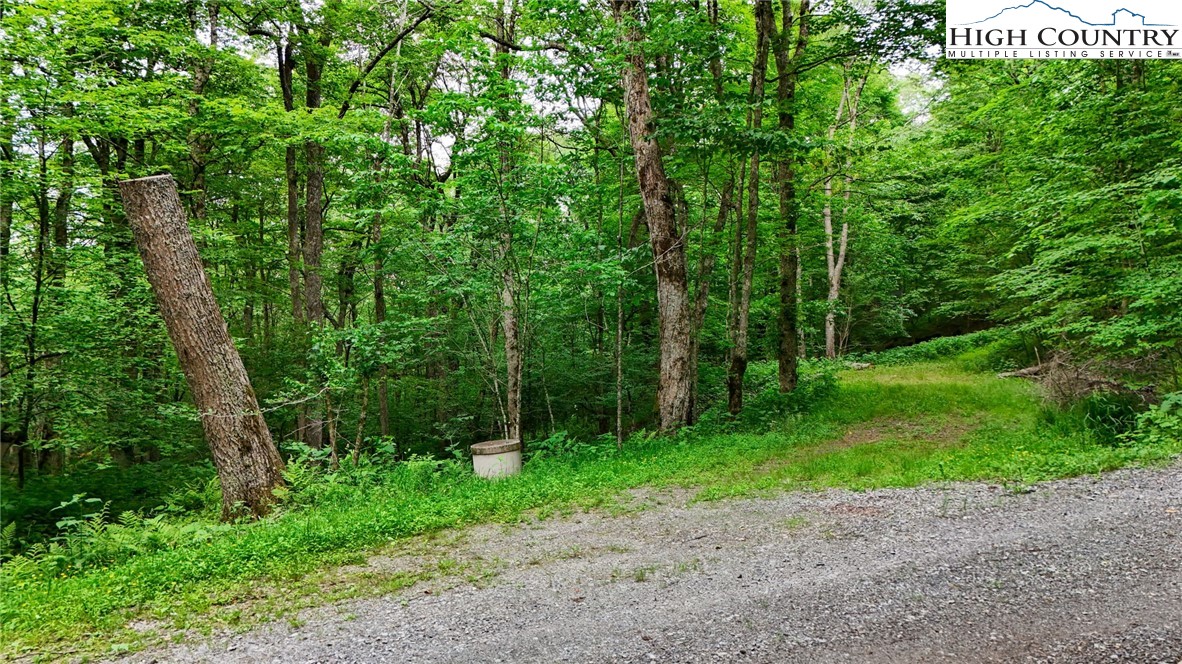 233 Woodland Springs Trail Boone, NC 28607 - Photo 1 of 21 a view of a out door space