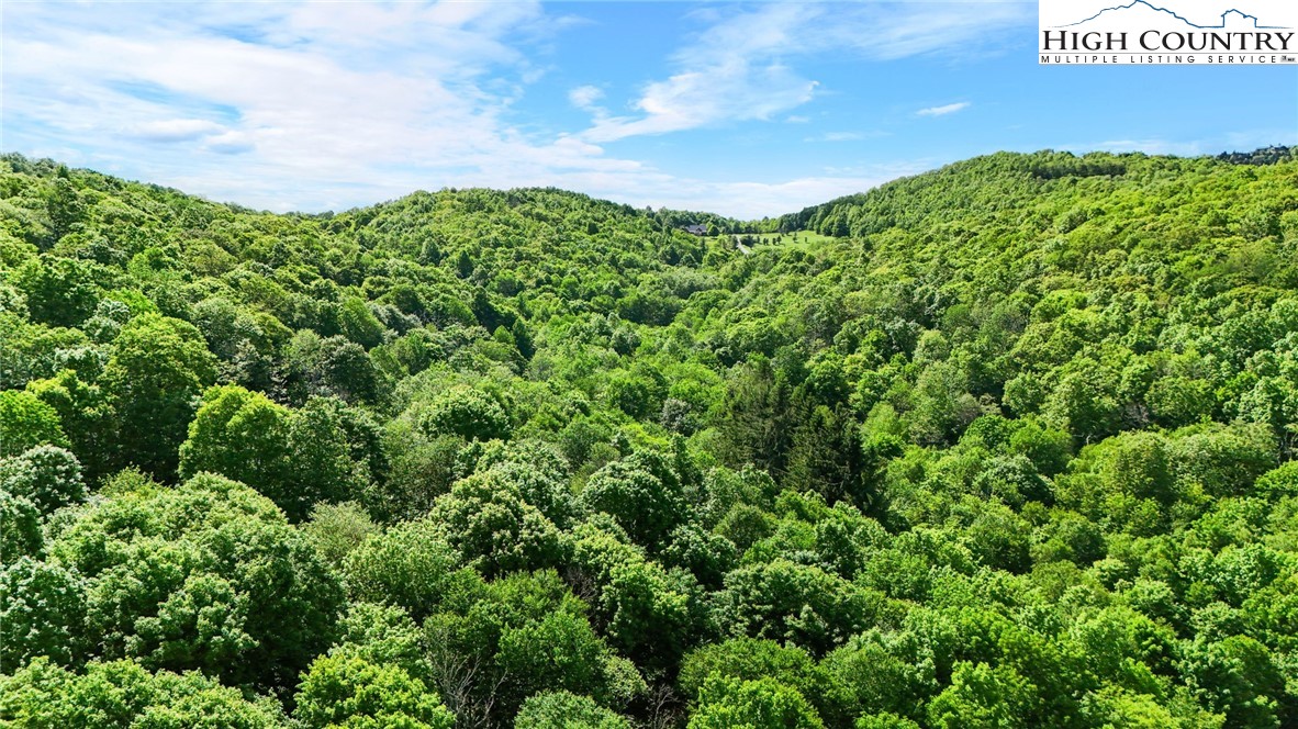 233 Woodland Springs Trail Boone, NC 28607 - Photo 17 of 21 a view of a green field