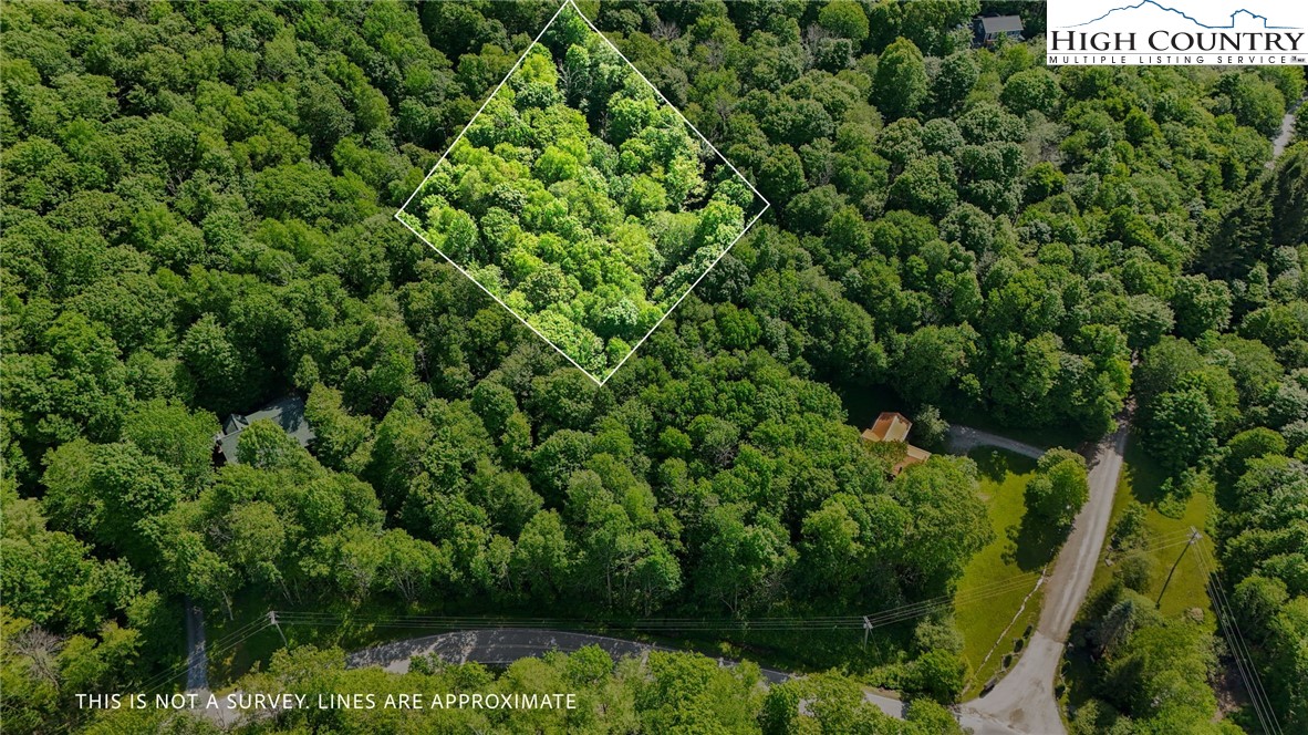 233 Woodland Springs Trail Boone, NC 28607 - Photo 3 of 21 an aerial view of a yard