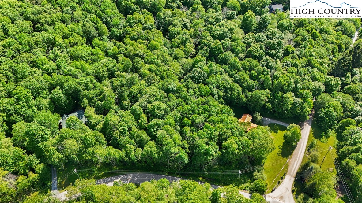 233 Woodland Springs Trail Boone, NC 28607 - Photo 5 of 21 a view of a garden