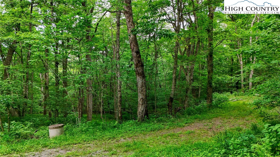 233 Woodland Springs Trail Boone, NC 28607 - Photo 7 of 21 a view of a green field