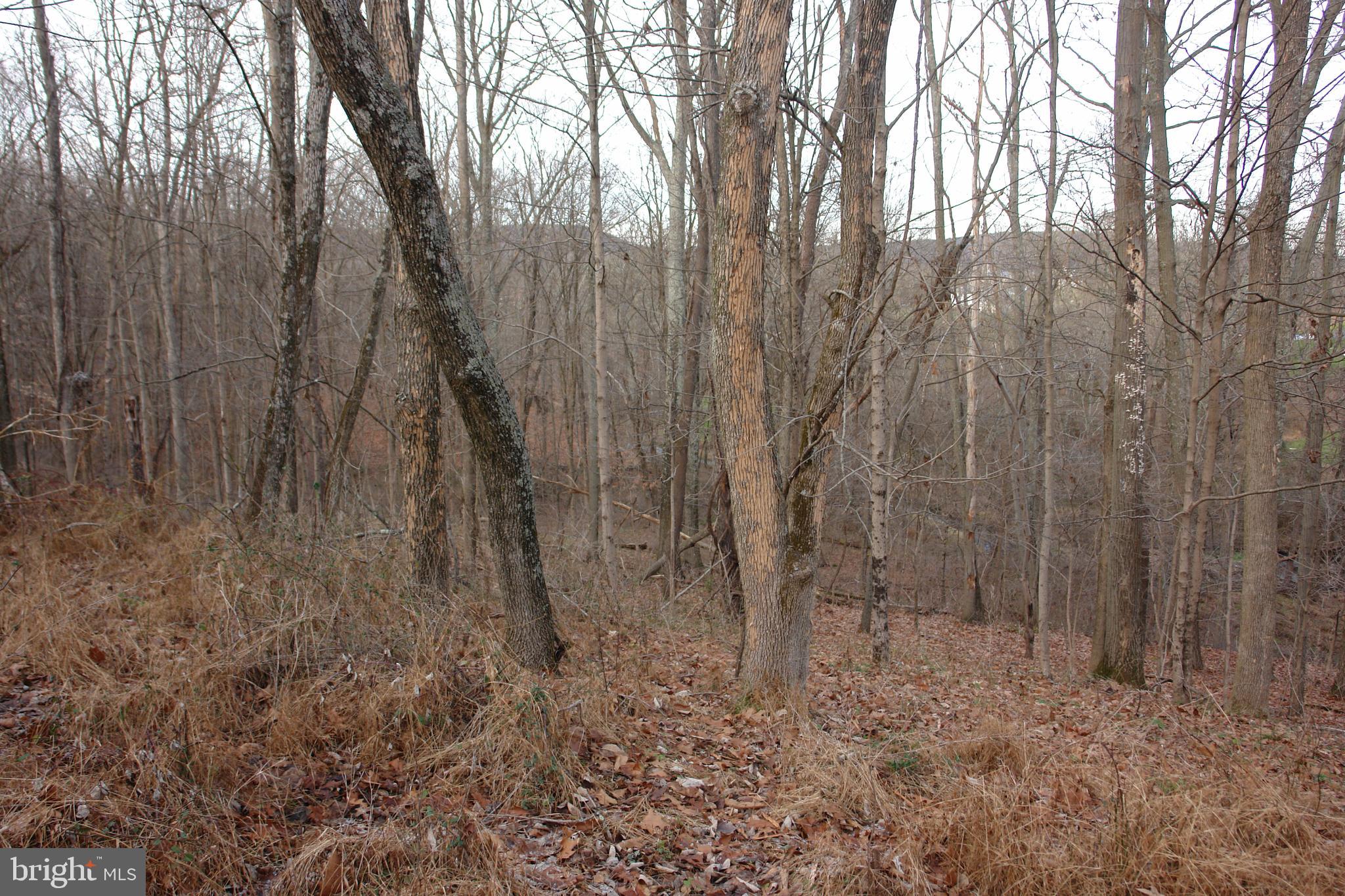 0 Valley Brook Road Boyertown, PA 19512 - Photo 1 of 11 Gallery Image 1