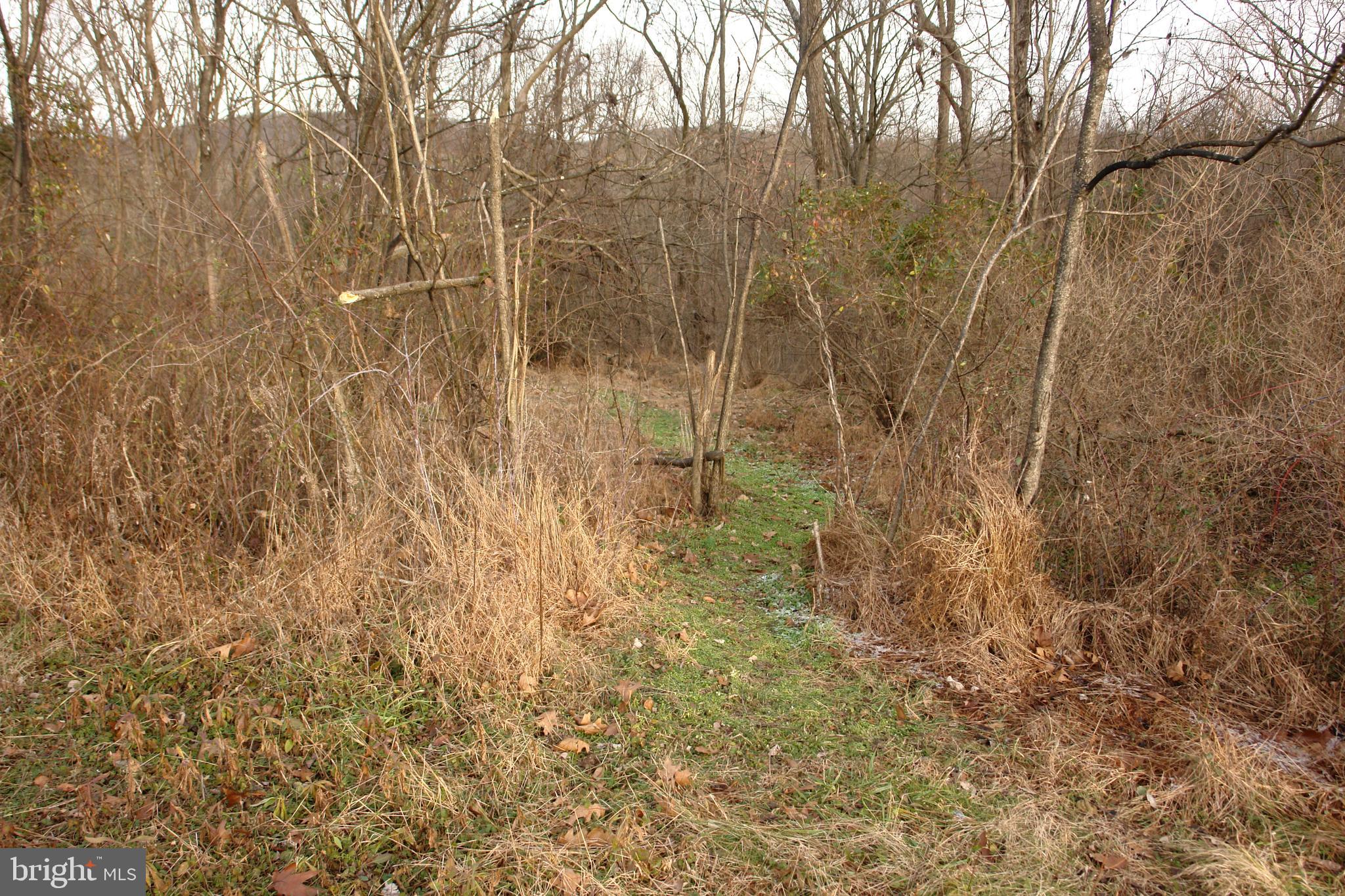 0 Valley Brook Road Boyertown, PA 19512 - Photo 5 of 11 Gallery Image 5