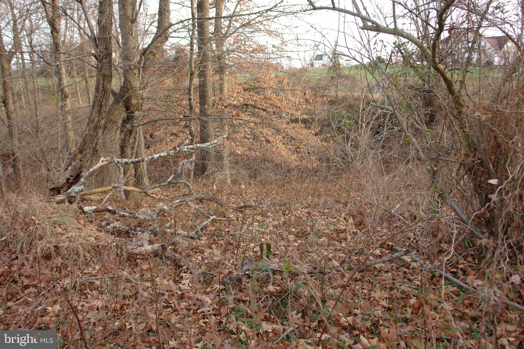0 Valley Brook Road Boyertown, PA 19512 - Photo 8 of 11 Gallery Image 8