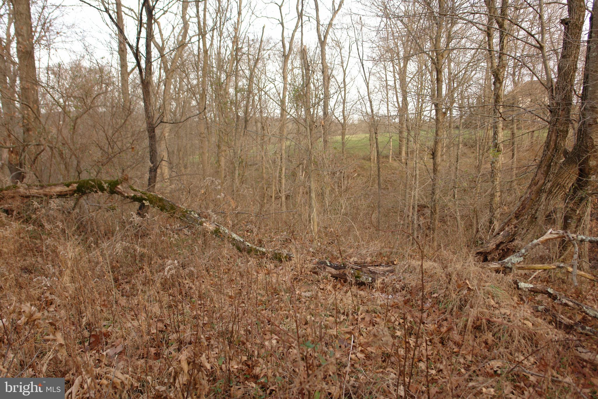 0 Valley Brook Road Boyertown, PA 19512 - Photo 9 of 11 Gallery Image 9
