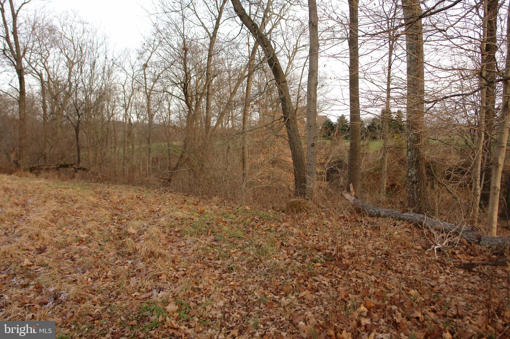 0 Valley Brook Road Boyertown, PA 19512 - Photo 10 of 11 Gallery Image 10