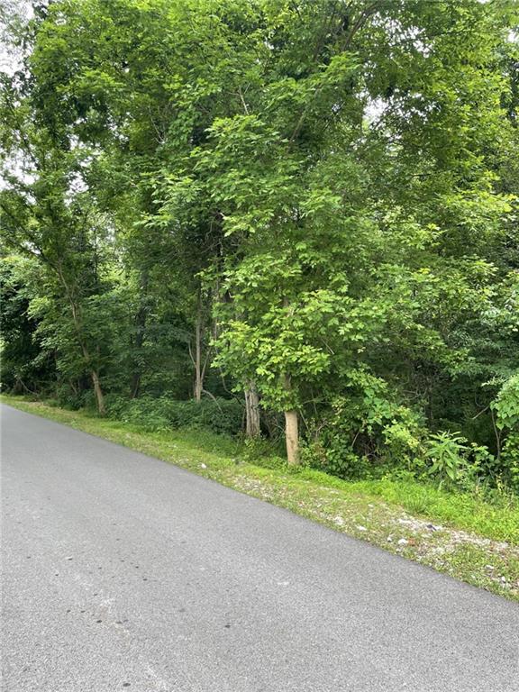 0 Honor Street Coal Center, PA 15423 - Photo 3 of 4 a view of a yard with plants and trees