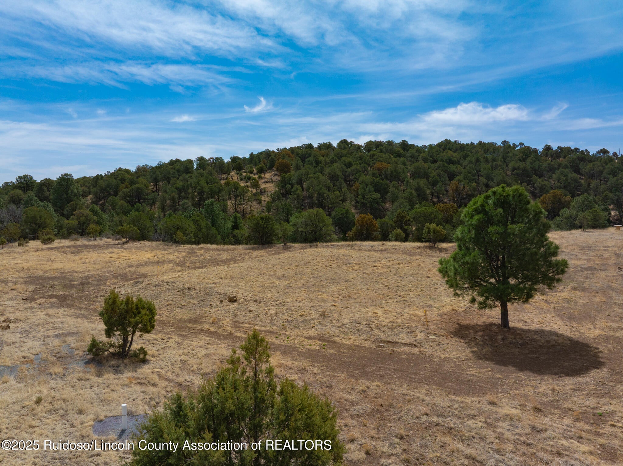 110 Bean Patch Road Nogal, NM 88341 - Photo 1 of 1 DJI_20250331113729_0171_D