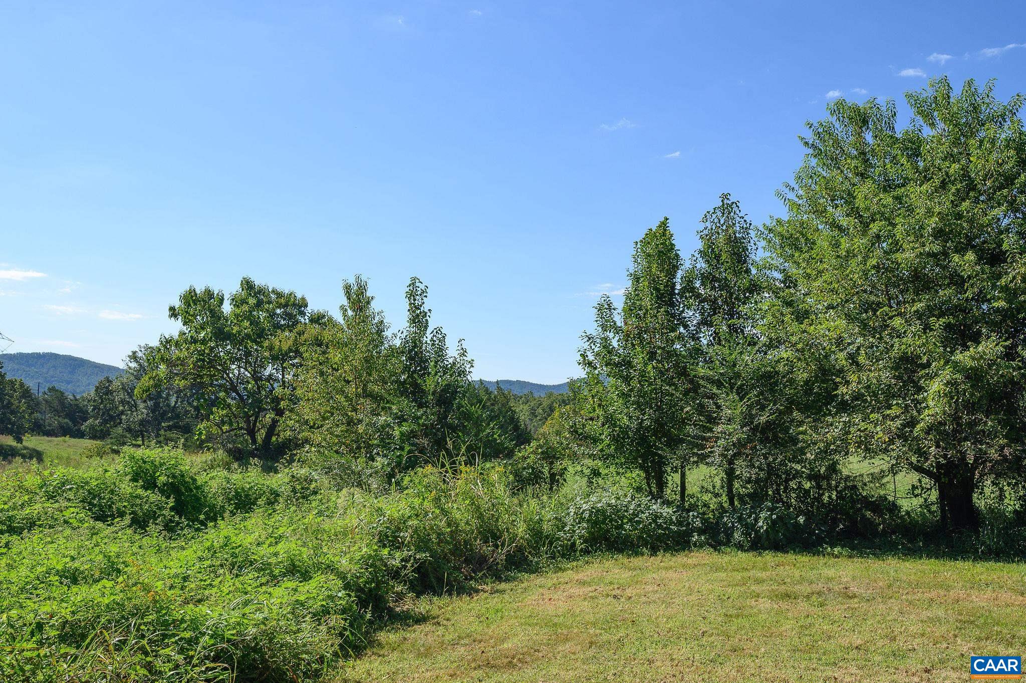 6265 Midway Road Charlottesville, VA 22903 - Photo 54 of 68 a view of a yard with a tree