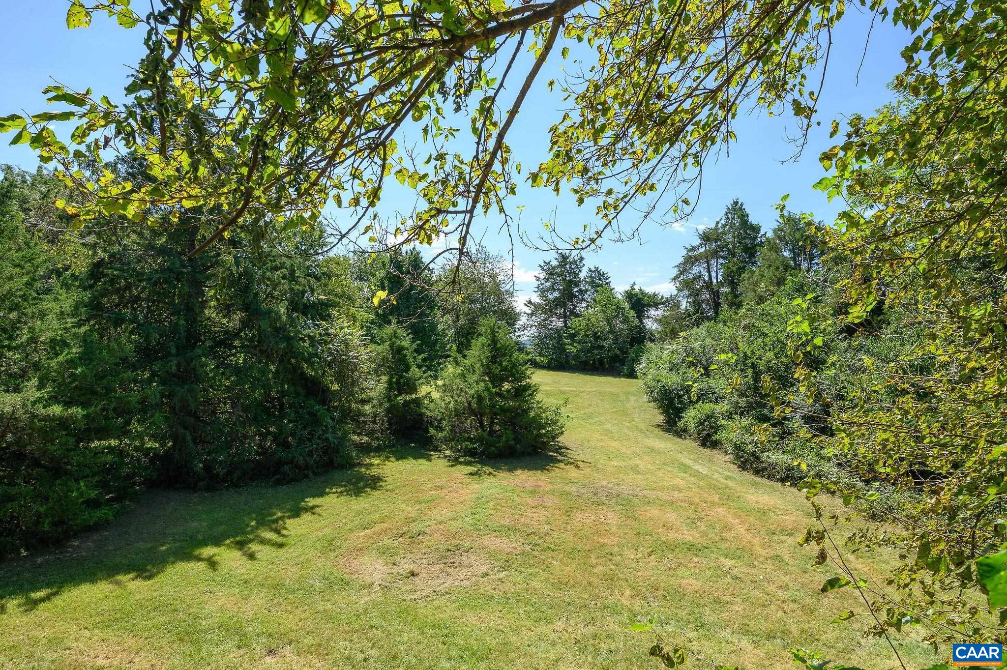 6265 Midway Road Charlottesville, VA 22903 - Photo 64 of 68 a view of a yard with plants and large trees
