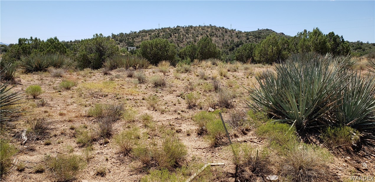 10002 East Blake Ranch Road, Unit 3 Kingman, AZ 86401 - Photo 39 of 42 a view of a forest with a forest