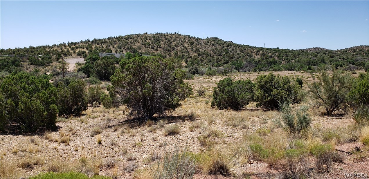 10002 East Blake Ranch Road, Unit 3 Kingman, AZ 86401 - Photo 41 of 42 a view of a forest with mountains in the background