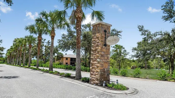 a view of a street with a palm tree