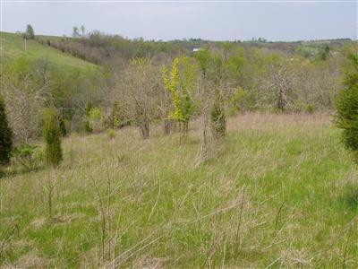 536 Convict Road Sharpsburg, KY 40374 - Photo 7 of 15 Photo 7