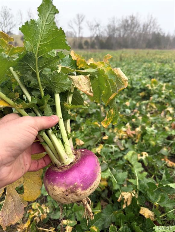 Tbd Van Horn Road Bland, MO 65014 - Photo 23 of 47
