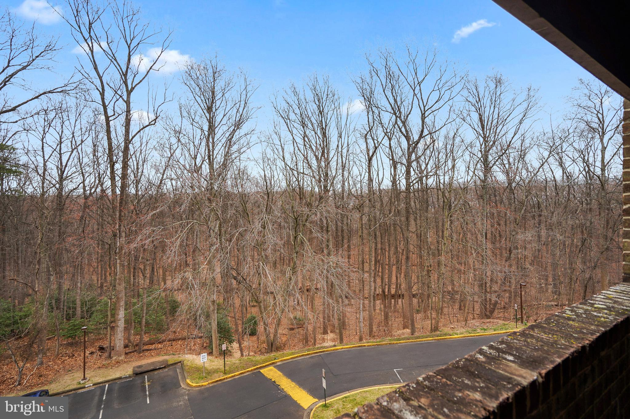11224 Chestnut Grove Square, Unit 11224327 Reston, VA 20190 - Photo 11 of 37 Gallery Image 11