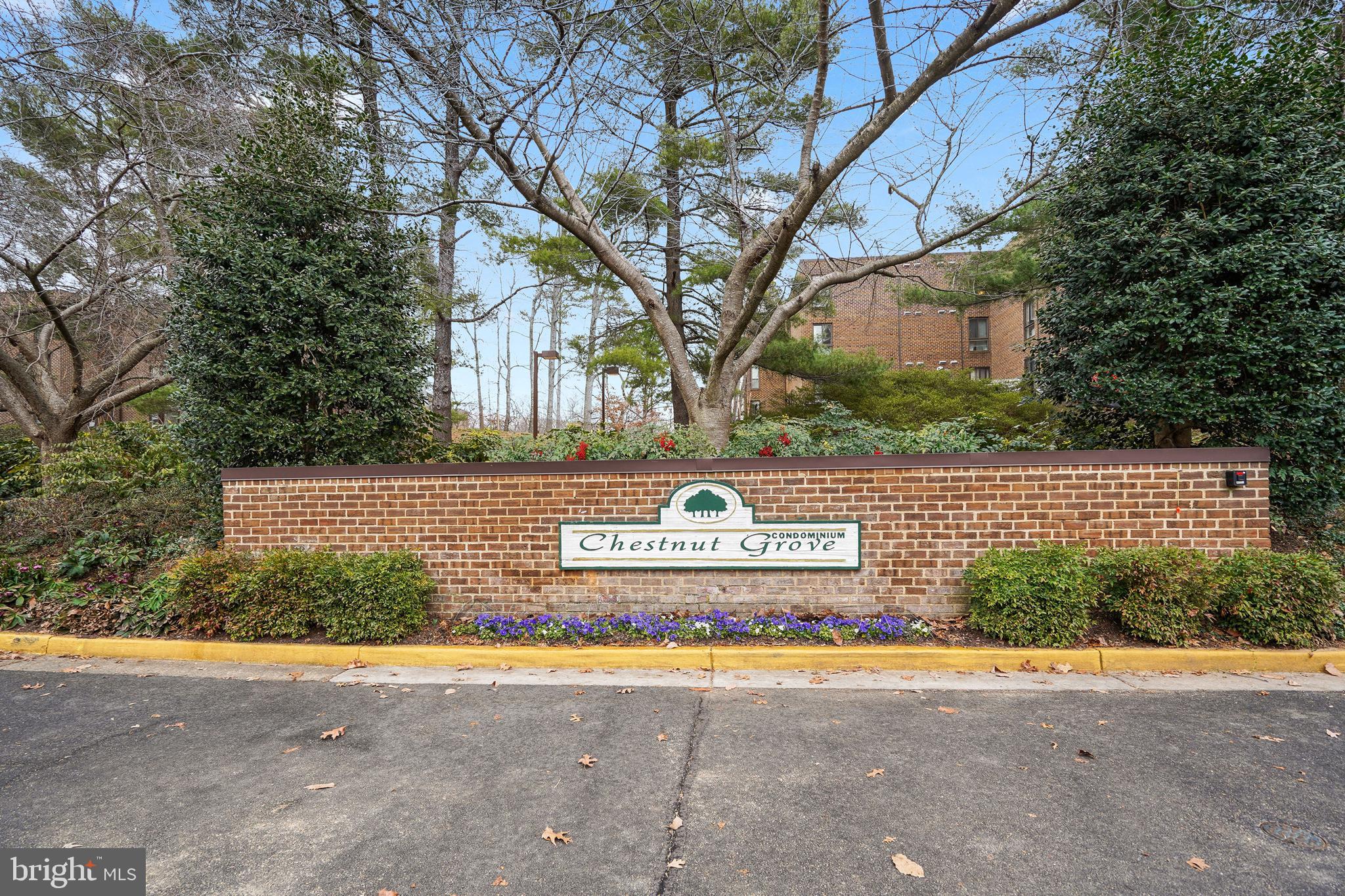 11224 Chestnut Grove Square, Unit 11224327 Reston, VA 20190 - Photo 2 of 37 Gallery Image 2