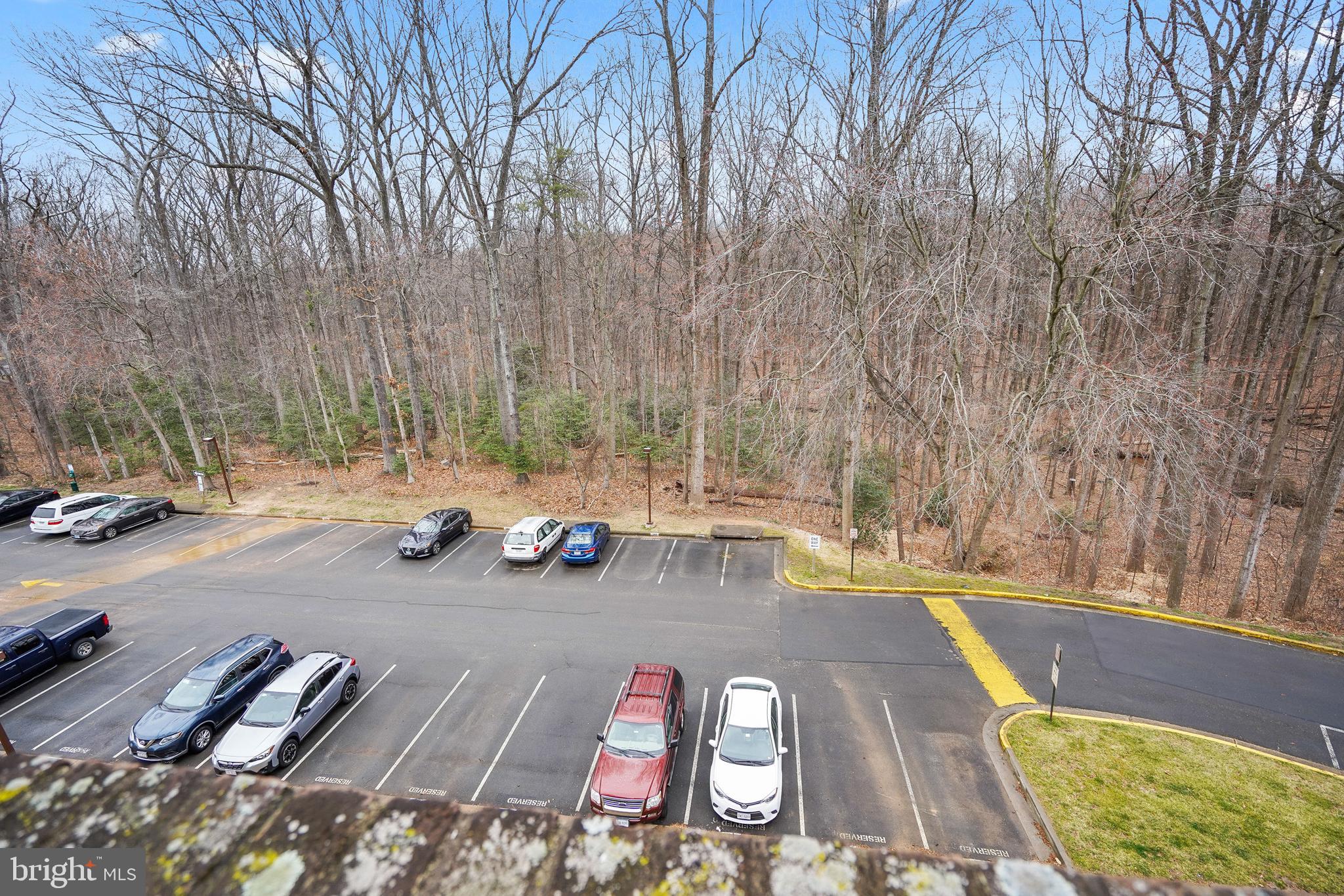 11224 Chestnut Grove Square, Unit 11224327 Reston, VA 20190 - Photo 31 of 37 Gallery Image 31