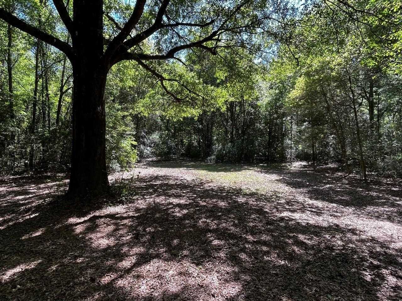 7760 Lund Road Milton, FL 32570 - Photo 5 of 50 Gallery Image 5