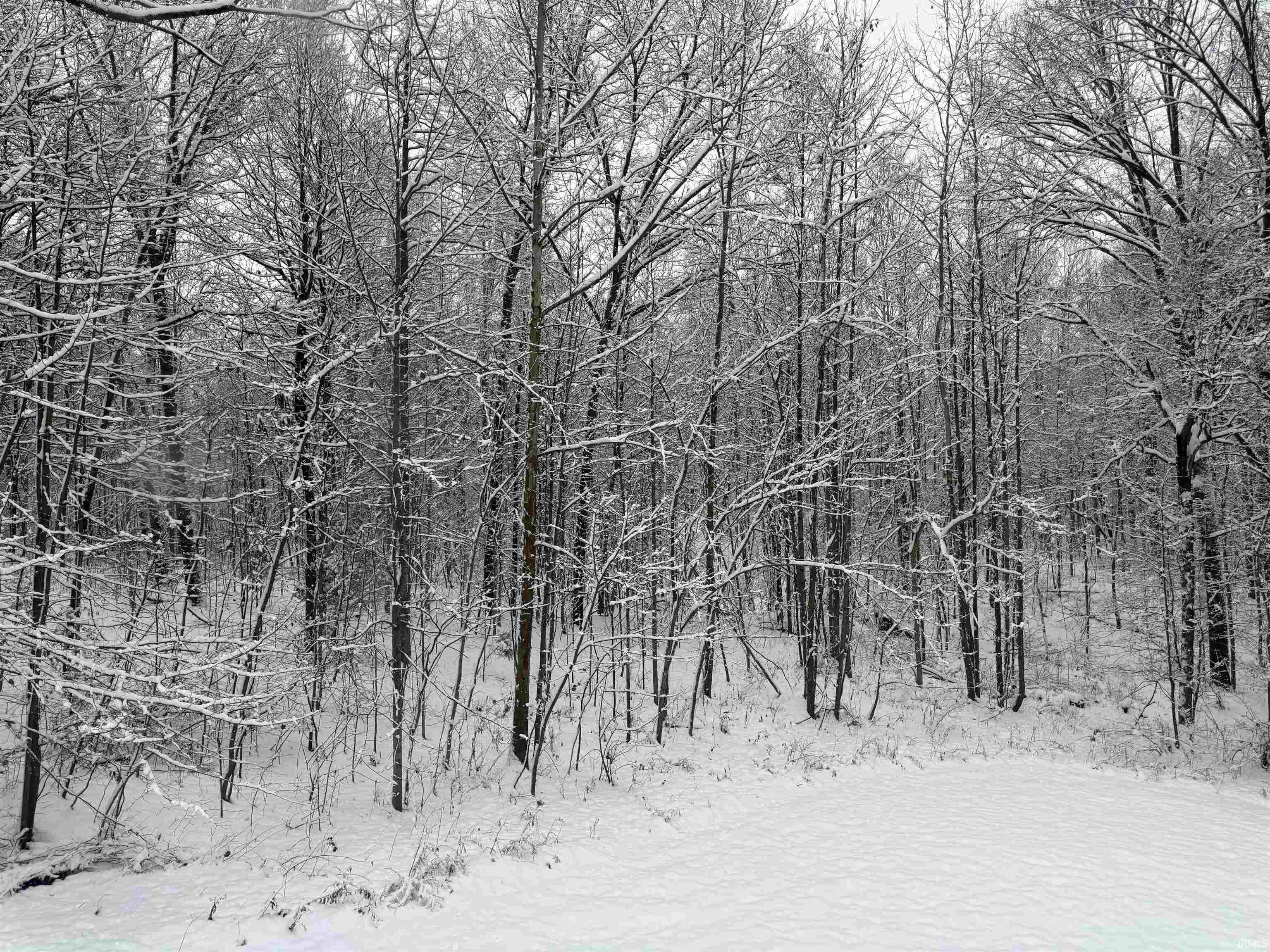 301 Riggle Road Bedford, IN 47421 - Photo 30 of 33