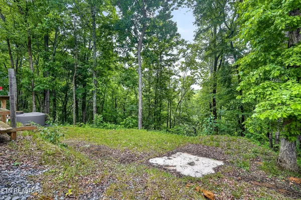 $165,000 | 853 Rock Springs Road, Celina, TN 38551