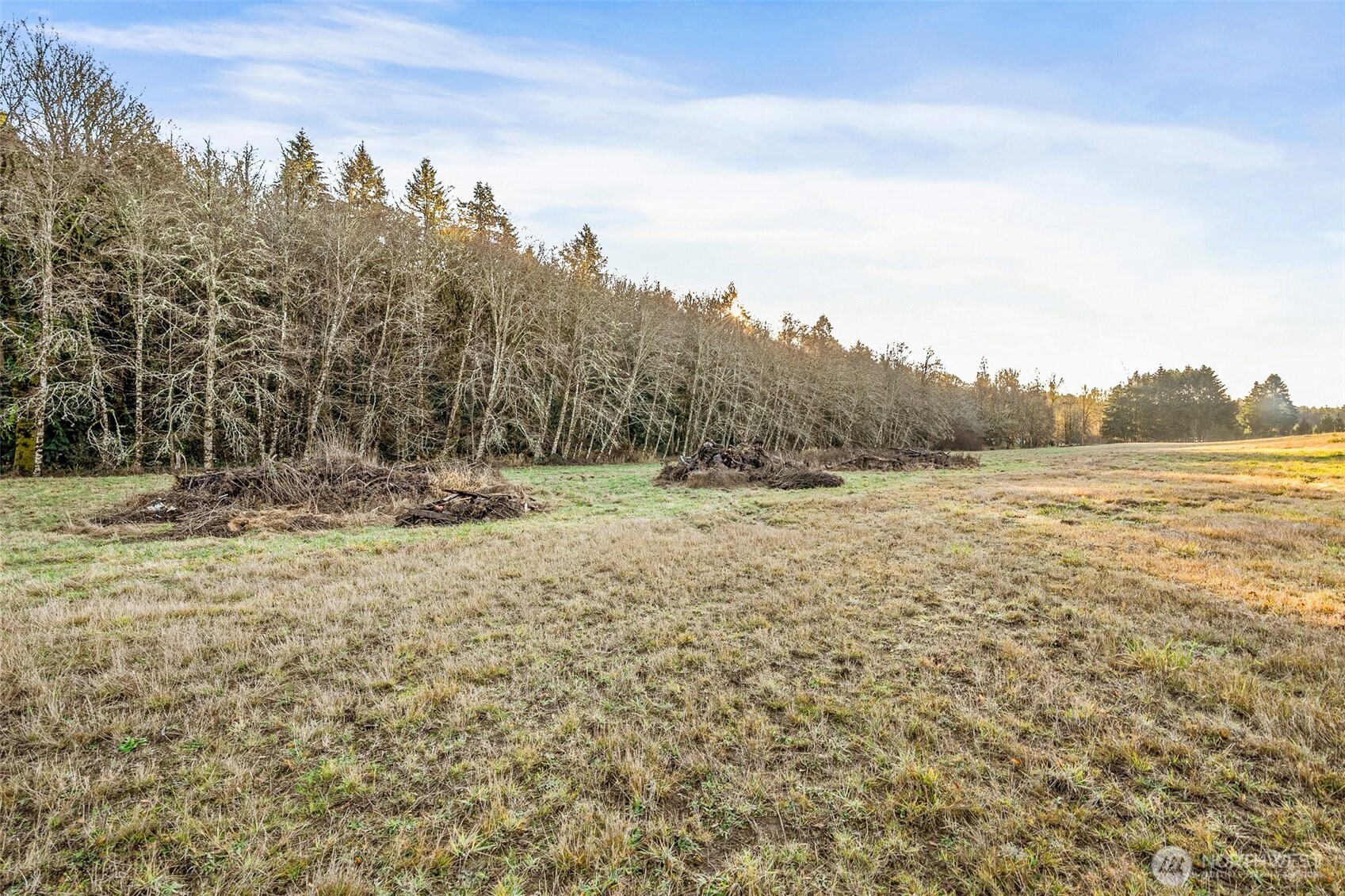 0 Collins Road Toledo, WA 98591 - Photo 14 of 25