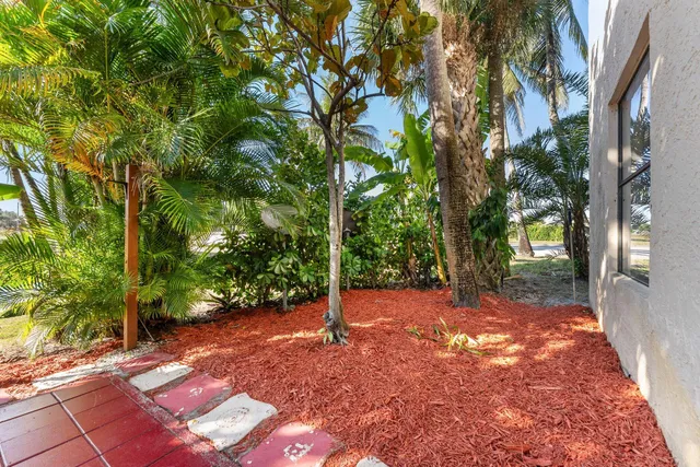 a view of a tree in the middle of a yard