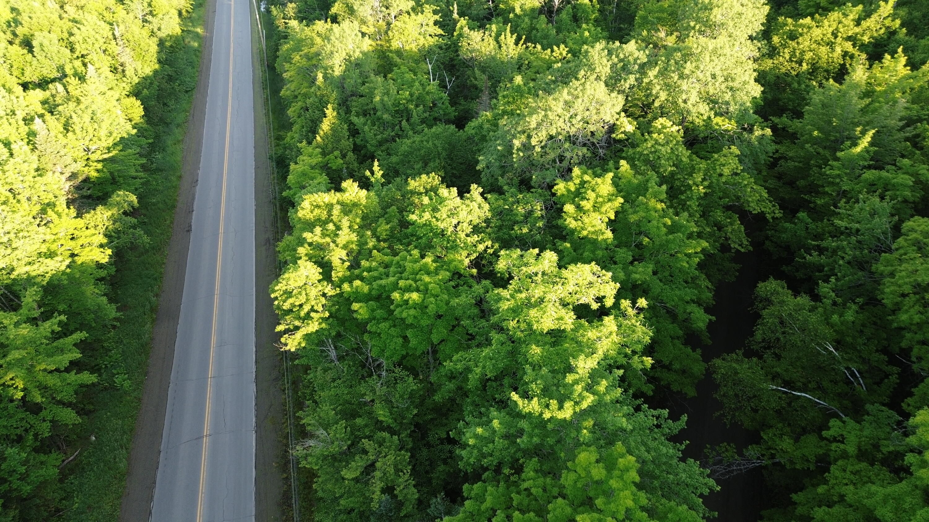 24a Anson Valley Road New Vineyard, ME 04956 - Photo 90 of 93 DJI_0104