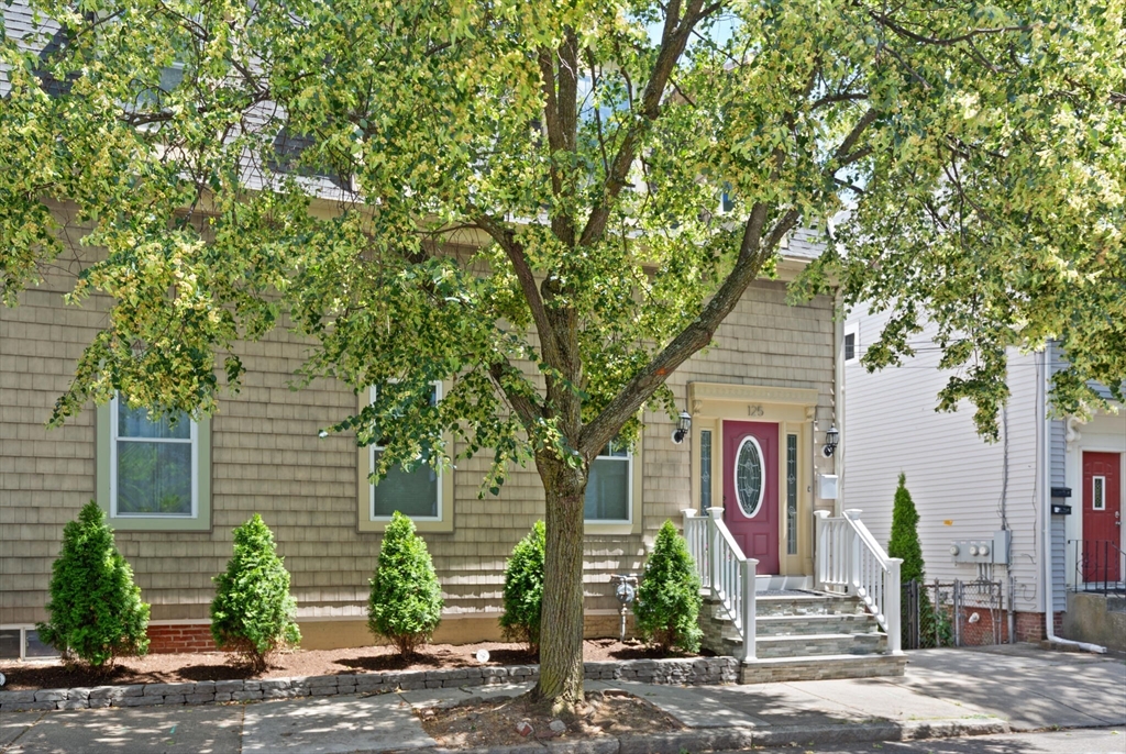 a front view of a house with garden