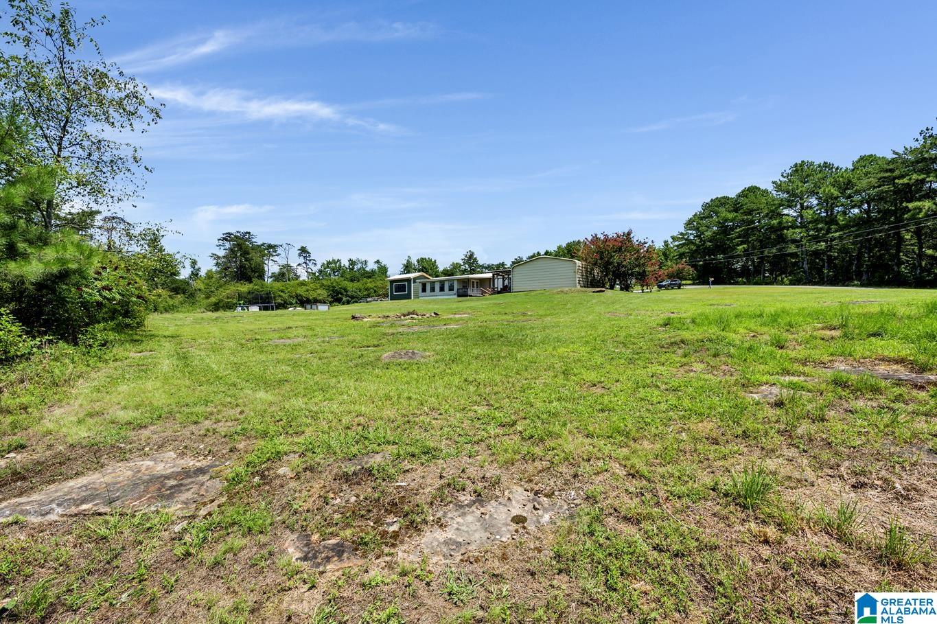 2101 Cliff Springs Road Oneonta, AL 35121 - Photo 29 of 42