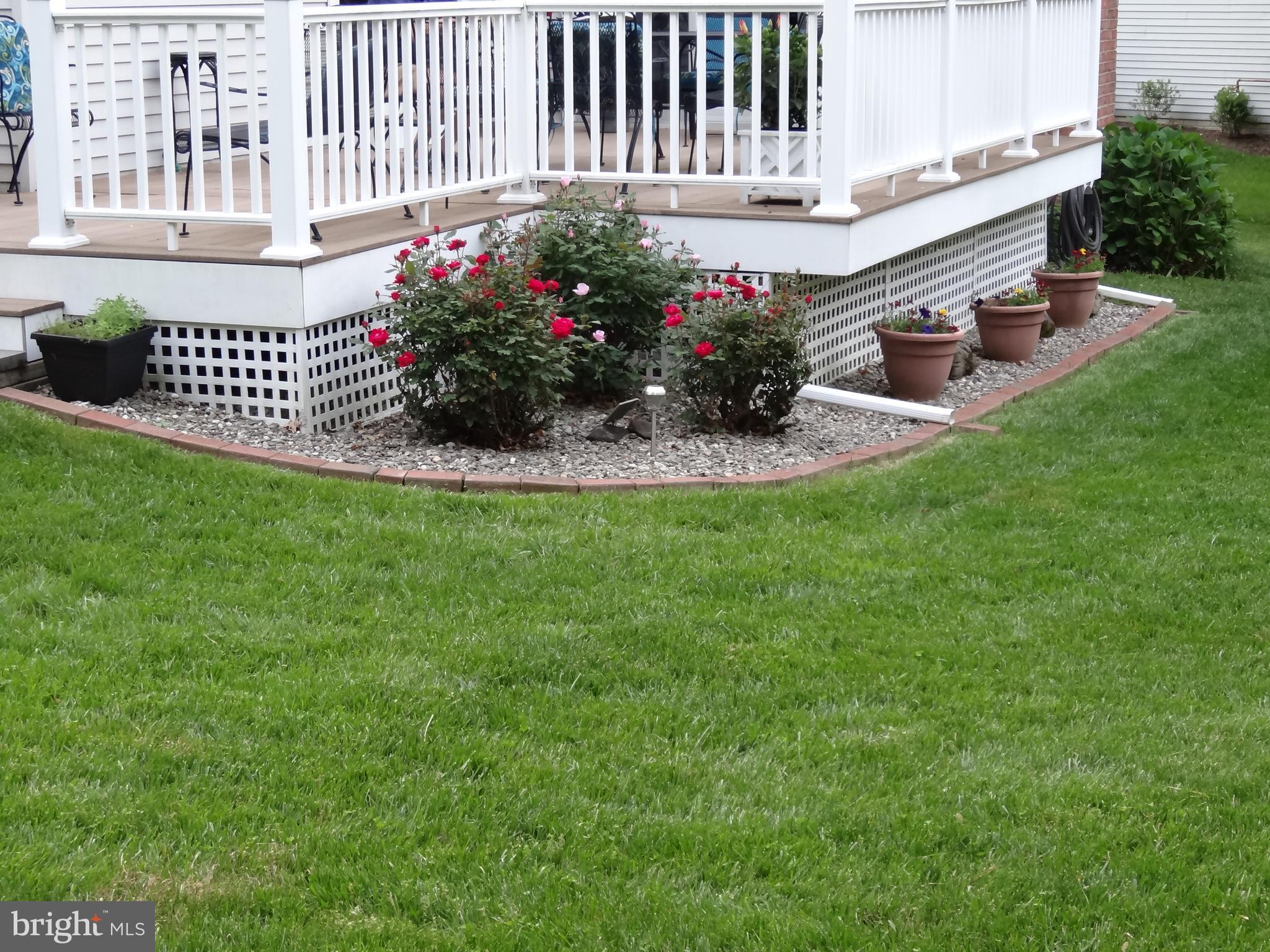 4926 Harrogate Road Ellicott City, MD 21043 - Photo 18 of 52 Back Yard Landscaping