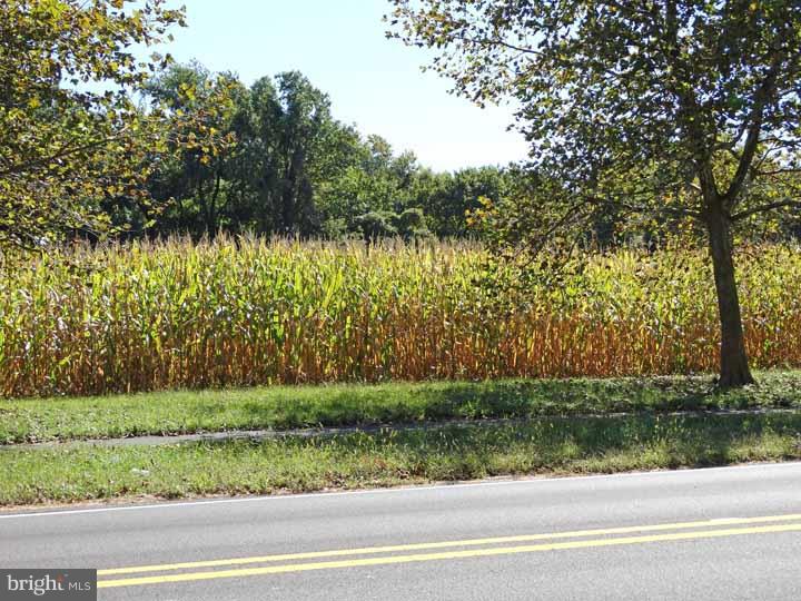 1 Delaware Rim Drive Yardley, PA 19067 - Photo 2 of 23 View from Front Door