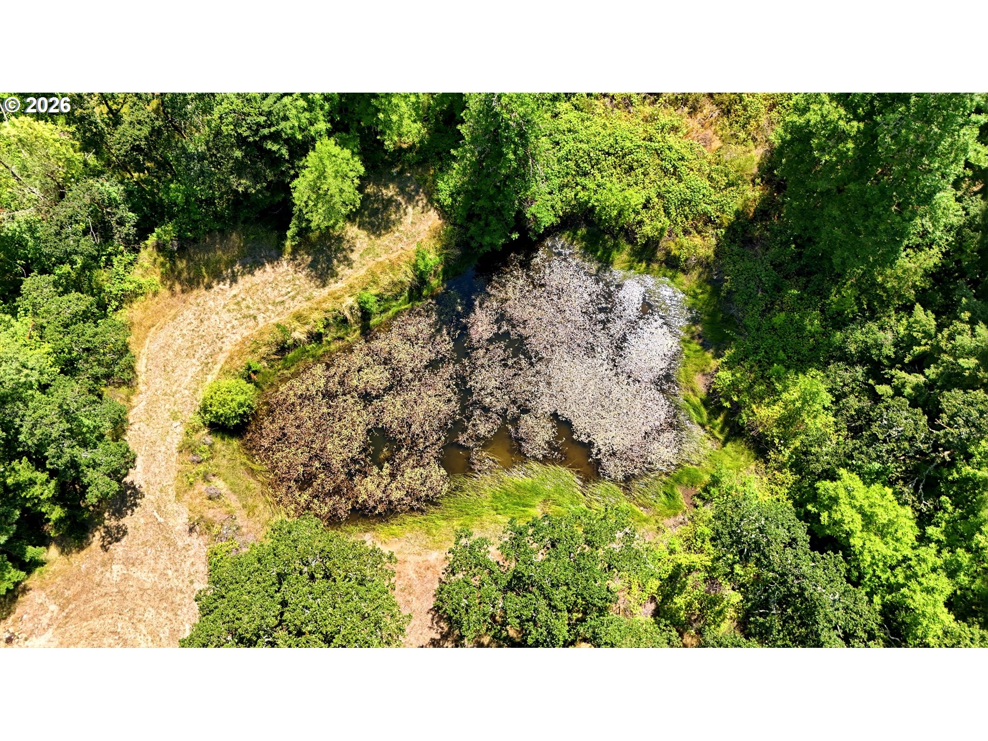 22695 Finn Road Sheridan, OR 97378 - Photo 11 of 12 Gallery Image 11