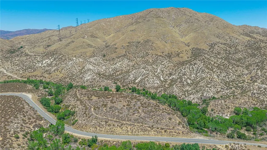 0 Aliso Canyon Acton, CA 93510 - Photo 23 of 34 a view of a large tree